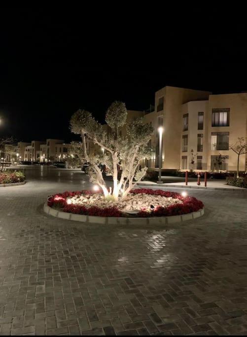 Mangroovy - 1Br Lovely Loggia Wz Marina View Leilighet Hurghada Eksteriør bilde